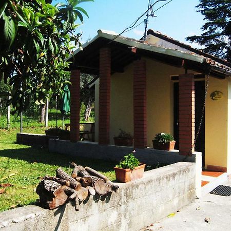 L'Albero Delle Noci Villa Lanciano Luaran gambar